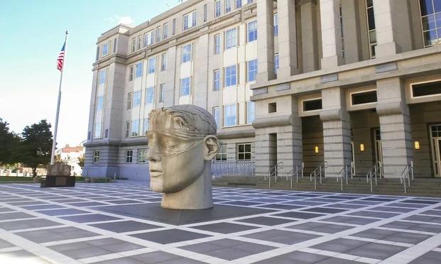 Financial Fraud Cases