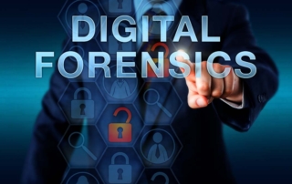 Seized Electronic Discovery